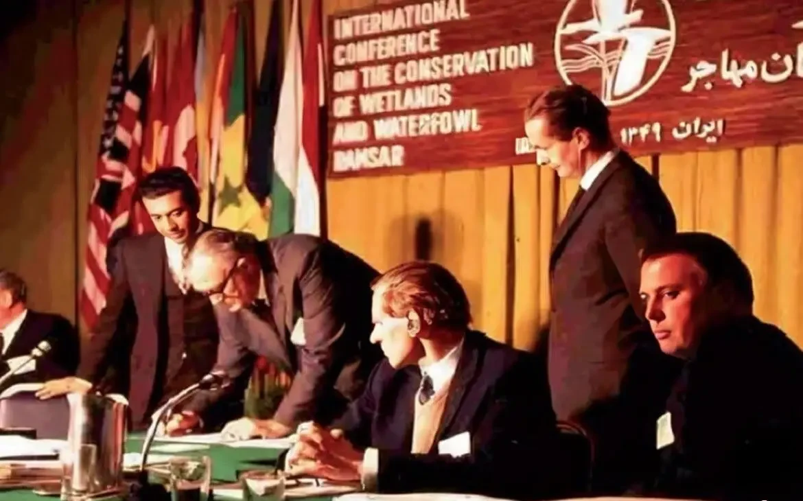 آیا جهان برای نجات تالاب‌ها متحد می‌شود؟