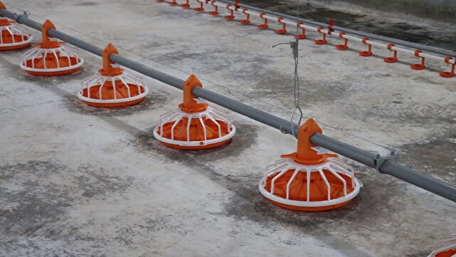 تقویت رونق اقتصادی شهرستان ها از اولویت‌های استان گیلان