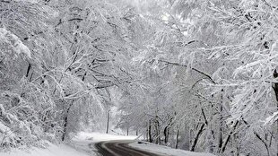 کاهش ۱۷ درجه‌ای دمای هوای گیلان / برف و کولاک در مناطق کوهستانی و دامنه‌ها