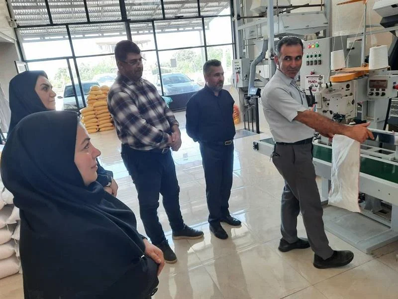 بازدید میدانی و امضای قراردادهای لجستیکی برای تقویت زنجیره تأمین برنج در رضوانشهر بازدید میدانی و امضای قراردادهای لجستیکی برای تقویت زنجیره تأمین برنج در رضوانشهر