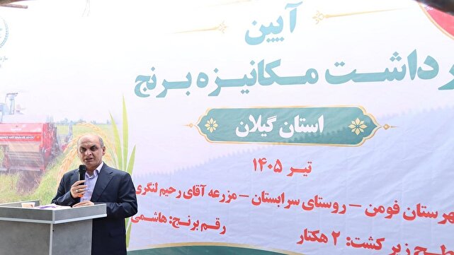 افزایش بهره‌وری؛ راه اقتصادی شدن تولید برنج
