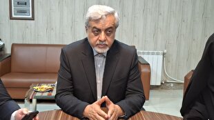 توقف صدور مجوز جدید برای واحدهای نانوایی آزادپز توقف صدور مجوز جدید برای واحدهای نانوایی آزادپز
