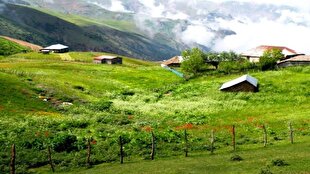 جاذبه های دیدنی تالش / از ساحل گیسوم تا کاخ سردار امجد