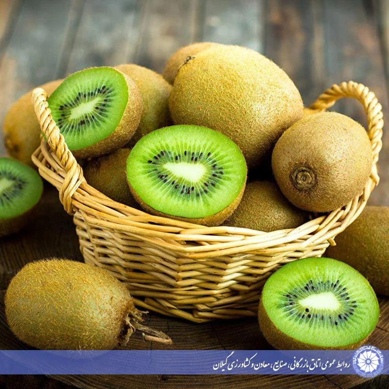 طرح تدوین سند راهبردی توسعه زنجیره ارزش کیوی وارد مرحله اجرا شد